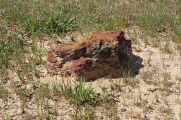 Unknown Grave in Historic Cemetery Marked With Large Rock