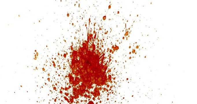 Blood Splash in Super Slow Motion. Isolated on White Background. High-Speed Cinematic Shot of Blood Droplets Forming Abstract Stain.