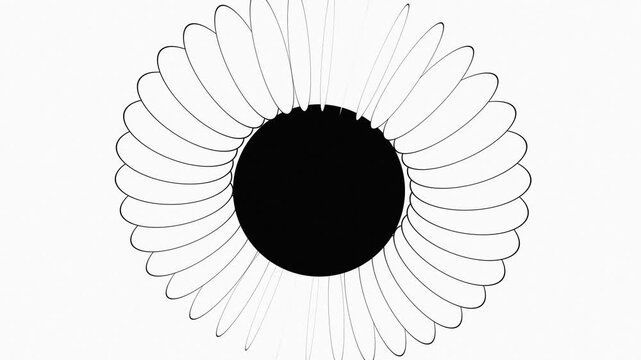White background with Black stripes Minimalist Motion Graphic

