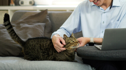 young man sitting on a gray sofa caresses the head of a tabby cat