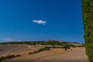 Obraz premium Pienza Hilltop and Val d’Orcia Fields