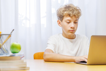 Schoolboy studying online at home with a laptop