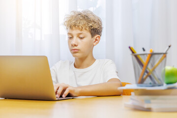 Schoolboy studying online at home with a laptop