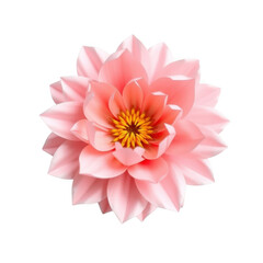 Fototapeta premium A delicate pink water lily flower with a vibrant yellow center isolated on white background