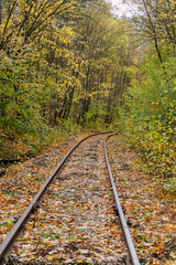 Obraz premium Railway tracks running through an autumn forest with colorful trees