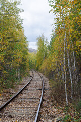 Obraz premium Railway tracks running through an autumn forest with colorful trees
