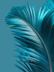 Close-up of blue palm leaf with detailed texture and fine parallel lines