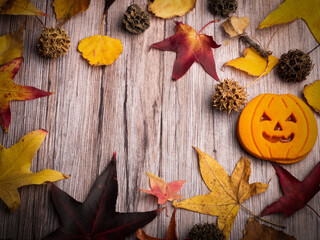 autumn leaves on wooden background