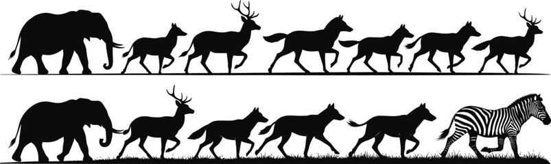 Animal silhouettes walking in sequence, wildlife pattern comparison, black and white illustration, zebra transformation concept, nature diversity, minimal design