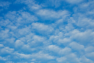 Blue Sky Filled with White Clouds