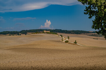 Obraz premium Winding Road to Tuscan Estate on Sunlit Hills