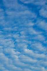 Fototapeta premium Altocumulus Clouds in a Blue Sky