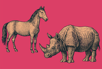 Vintage engraved illustration of a horse and rhino in a detailed, naturalist art style on pink background.