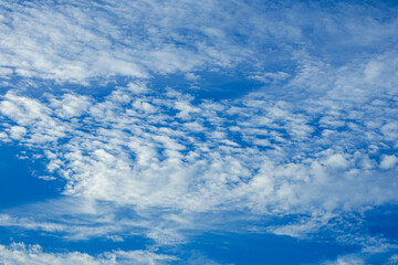Fototapeta premium Blue Sky with Altocumulus Clouds