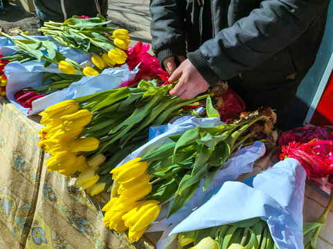 Preparing tulip bouquets for sale - Powered by Adobe