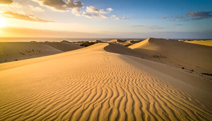 Panoramic landscape of sand dunes, bathed in the warm light of sunset