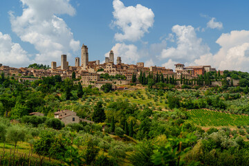 Obraz premium San Gimignano and Tuscan hills, olive groves, medieval towers, bright sky, summer landscape