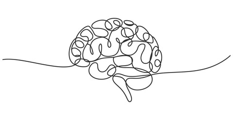 Minimalist continuous line art of a human brain anatomical illustration vector