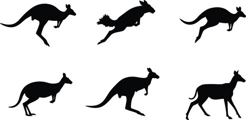 Silhouette of kangaroos in various jumping and standing poses, wild animal illustration, Australian wildlife vector design for nature and art