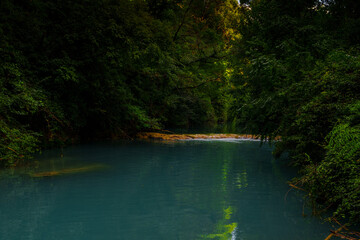 Turquoise river surrounded by dense forest, peaceful evening light