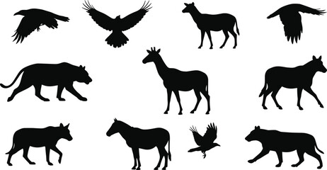 Wild animals and flying birds black silhouettes collection including giraffe, wolf, tiger, and crow isolated on white background