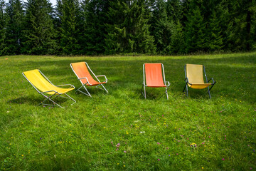 Colorful folding chairs arranged on green grass in a serene outdoor setting surrounded by tall trees