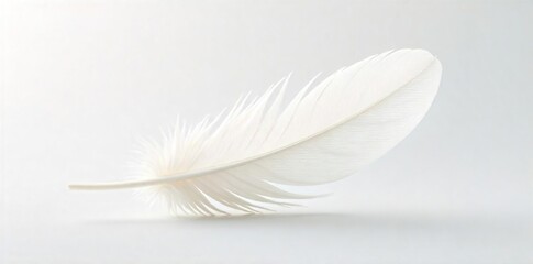 Obraz premium Delicate Single Feather Floating on White Purity, Peace, and Tranquility