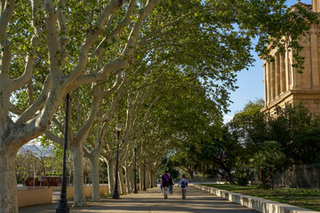 Two people walking along tree-lined pathway near historic building in sunny outdoor setting with copy space