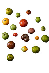Cluster of heirloom tomatoes, isolated PNG, silo

