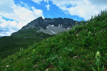 Austrian Alps - view of the Rüfispitze mountain near Lech in the Lechtal Alps