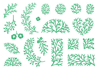 Cypress Twig and Branches Set. Botanical Hand Drawn. Set of Holiday Decor, Linocut Clipart