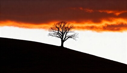 Dramatic silhouette of a lone tree on a hill against a vibrant sunset sky