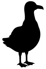 Seagull silhouette vector illustration
