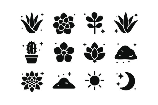 Succulent Icons Collection. Succulents. Solid icons set of Succulents: aloe plant, echeveria, jade plant, agave, cactus in pot, desert rose, leaf rosette,