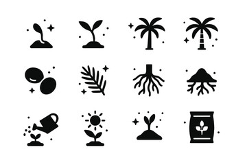 Fototapeta premium Palm Tree Lifecycle. Palm Tree Growth. Solid icons set of Palm Tree Growth: seed, sprout, young palm, growing trunk, mature palm, coconuts, fronds, roots,