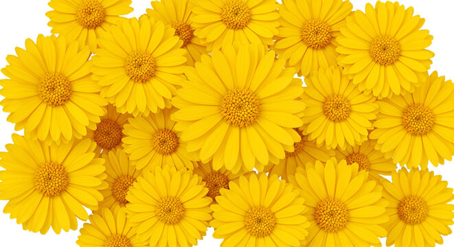 A Vibrant Bouquet of Yellow Daisies - Powered by Adobe