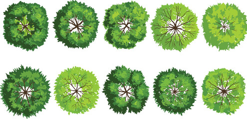 Ten top-down views of green tree canopies with visible branches, perfect for architectural plans, landscaping designs, game assets, and nature-themed digital compositions