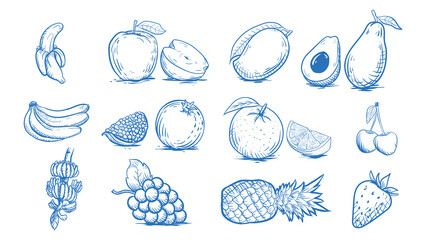 hand drawn set of Fruits vector illustrations isolated in white color, line arts, doodles 