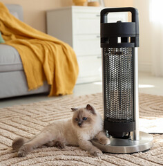Adorable cat warming near electric heater on carpet at home