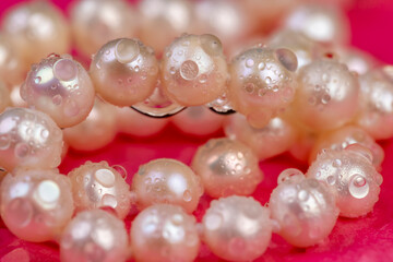 natural unpolished irregular shaped pearls covered with water droplets used in the manufacture of women's jewelry beads, close up