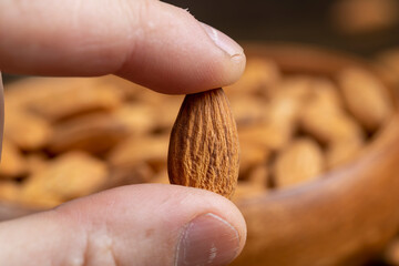 yellow-brown unroasted almonds in a person's hand, a large amount of hard raw almonds is held in...