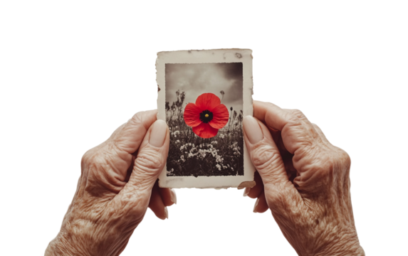 Elderly hands gently holding an old black and white photograph capturing a moment from wartime memories isolated on transparent background PNG