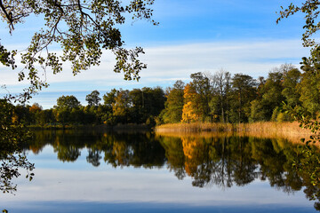 Reflection of trees in water in October