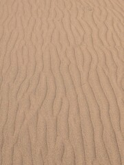 Horizontal close-up view of hot yellow desert sand with visible wind patterns and natural dune lines. Ideal for travel backgrounds, nature textures, adventure concepts, and desert landscape design.