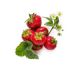 Sweet ripe strawberries with leaves and flowers on white background