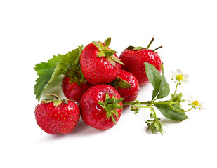 Sweet ripe strawberries with leaves and flowers on white background