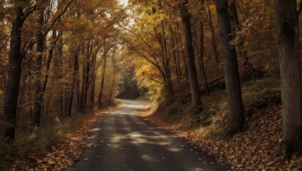 Obraz premium Winding asphalt road through a forest tunnel during autumn, dappled sunlight filtering through trees