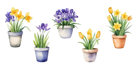 Spring watercolor composition with flowers in pots. Tulips, daffodils and crocuses in warm tones. Flower pots of various shapes, soft pastel colors, hand-painted style. Perfect for spring cards