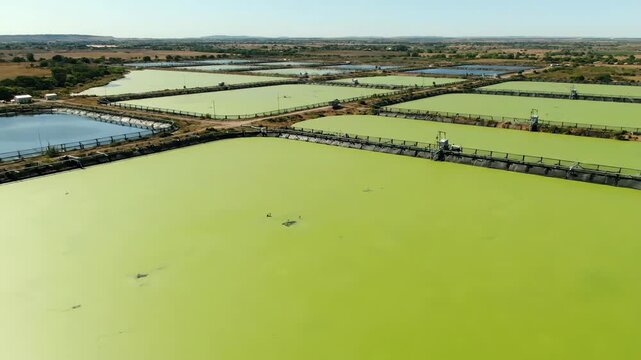 Aerial drone view of an industrial algae farm with large green water ponds. Cultivation of microalgae for biofuel and sustainable energy production. Vertical video of modern biotechnology