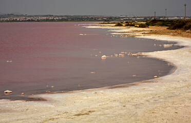 różowe jezioro, słone jezioro, Torrevieja, Hiszpania, Salt Lake in Torrevieja, lagoons for salt extraction in alicante, the pink lake of torrevieja, Costa Blanca, province of Alicante, Spain
